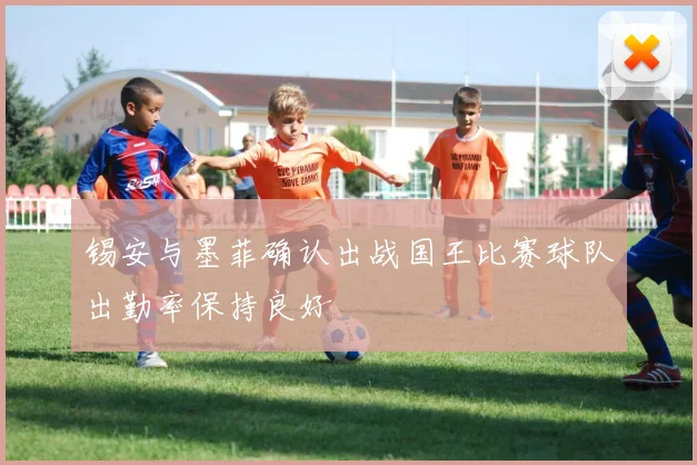 锡安与墨菲确认出战国王比赛球队出勤率保持良好