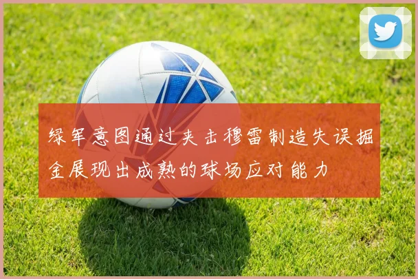 绿军意图通过夹击穆雷制造失误掘金展现出成熟的球场应对能力