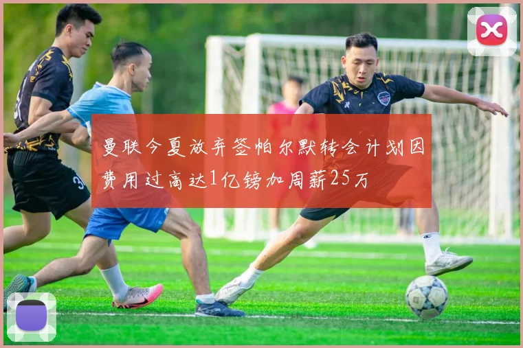 曼联今夏放弃签帕尔默转会计划因费用过高达1亿镑加周薪25万