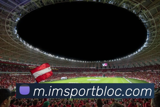 IM足球体育平台生态图