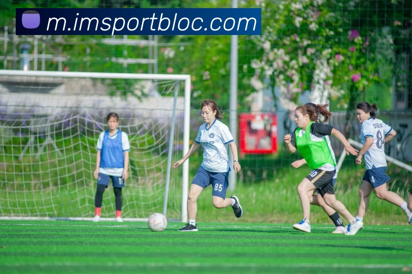 IM足球体育APP 封面图