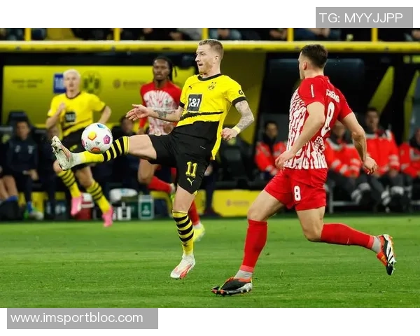 德甲精彩回顾：多特顺利取胜药厂意外失分斯图加特再创佳绩